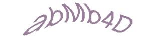 عبارت امنیتی