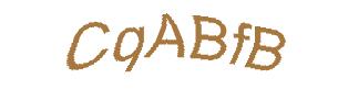 عبارت امنیتی