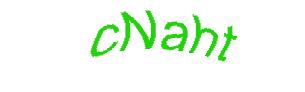 عبارت امنیتی