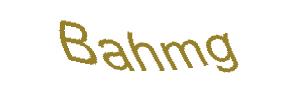 عبارت امنیتی