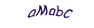 عبارت امنیتی