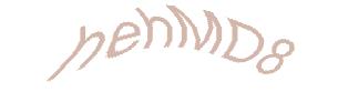 عبارت امنیتی