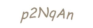 عبارت امنیتی