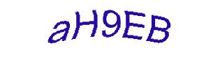 عبارت امنیتی