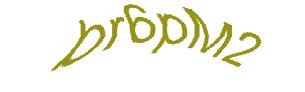 عبارت امنیتی