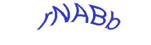عبارت امنیتی