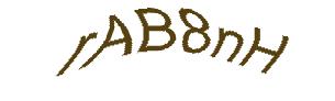 عبارت امنیتی