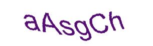 عبارت امنیتی