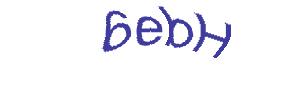 عبارت امنیتی