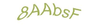 عبارت امنیتی