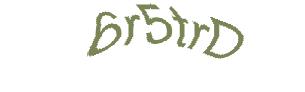 عبارت امنیتی