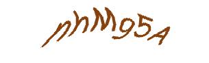 عبارت امنیتی