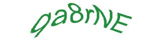 عبارت امنیتی