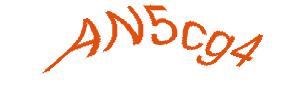 عبارت امنیتی