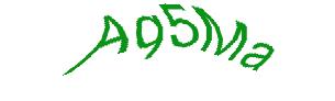 عبارت امنیتی