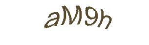 عبارت امنیتی