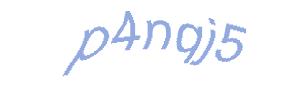 عبارت امنیتی