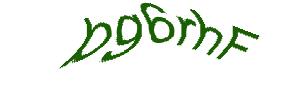 عبارت امنیتی