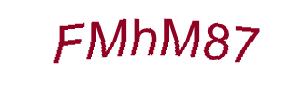 عبارت امنیتی