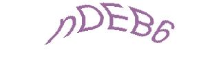 عبارت امنیتی