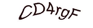 عبارت امنیتی