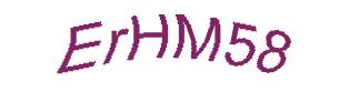 عبارت امنیتی