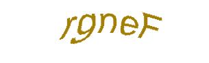 عبارت امنیتی