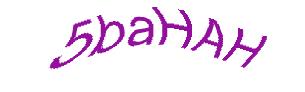 عبارت امنیتی