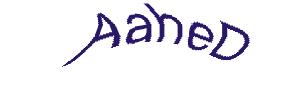 عبارت امنیتی