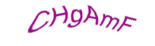 عبارت امنیتی