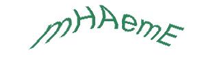 عبارت امنیتی