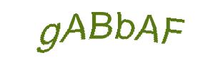 عبارت امنیتی