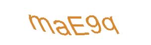 عبارت امنیتی