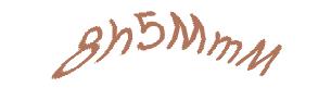 عبارت امنیتی