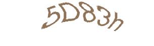 عبارت امنیتی