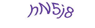 عبارت امنیتی