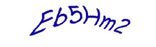 عبارت امنیتی
