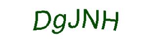 عبارت امنیتی