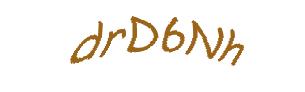 عبارت امنیتی