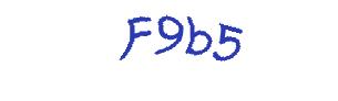 عبارت امنیتی