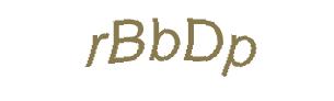 عبارت امنیتی