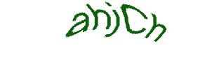عبارت امنیتی