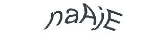 عبارت امنیتی