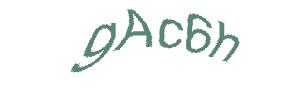 عبارت امنیتی