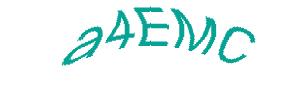 عبارت امنیتی