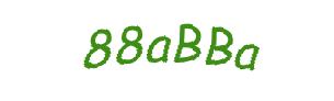 عبارت امنیتی