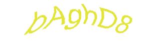 عبارت امنیتی