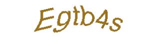 عبارت امنیتی