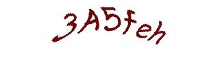 عبارت امنیتی