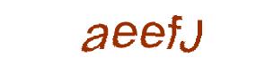 عبارت امنیتی